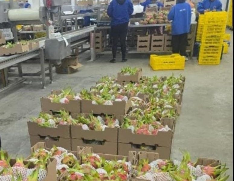 6c1f4949-3089-419f-8c4f-2087d86f57c6